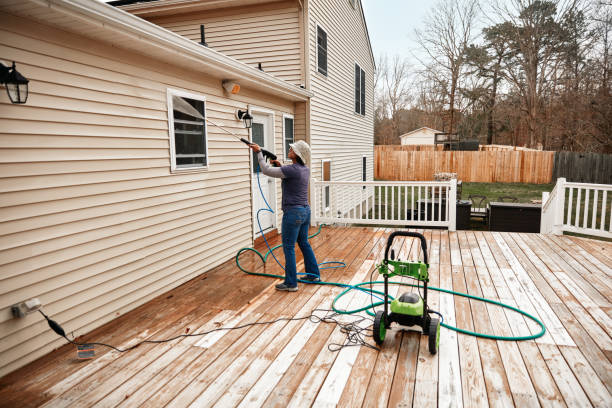 Best Pressure Washing Near Me  in Citrus Park, AZ